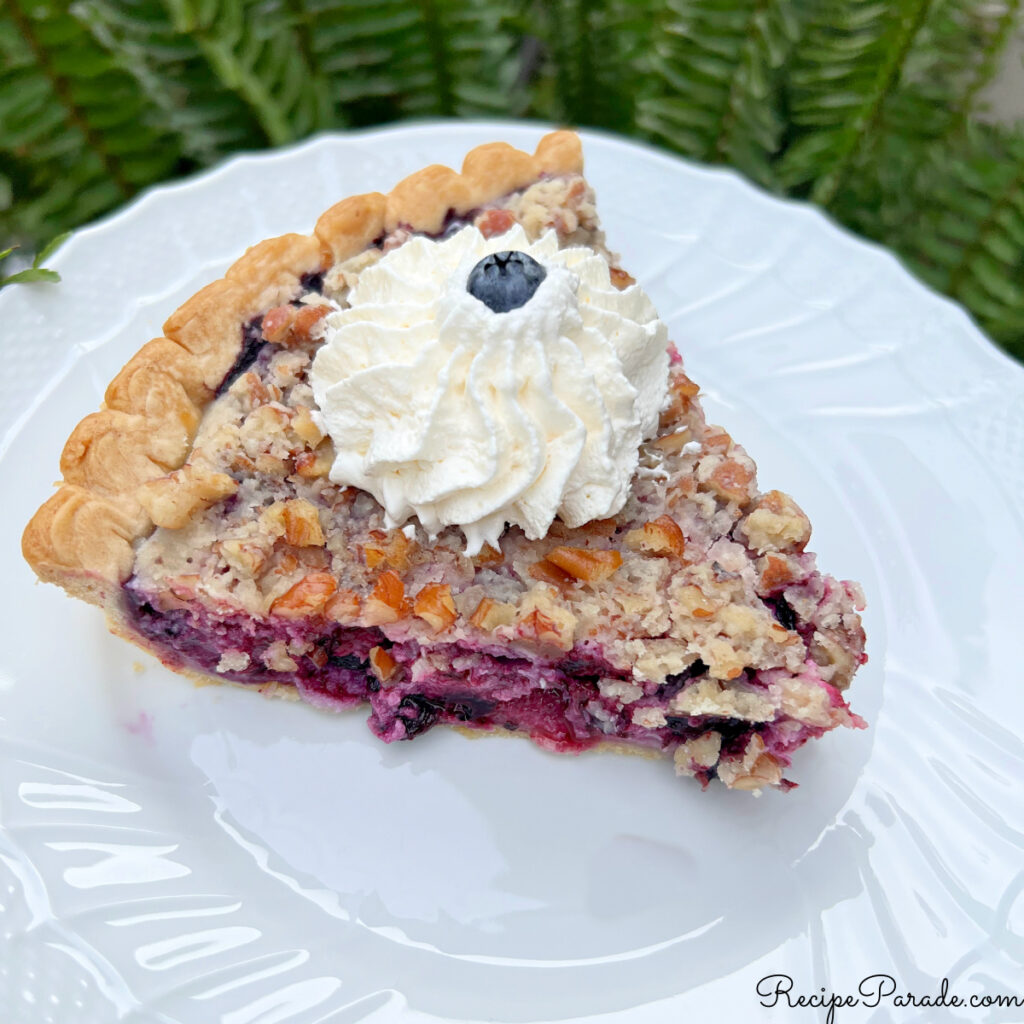 Slice of blueberry pie on a plate.