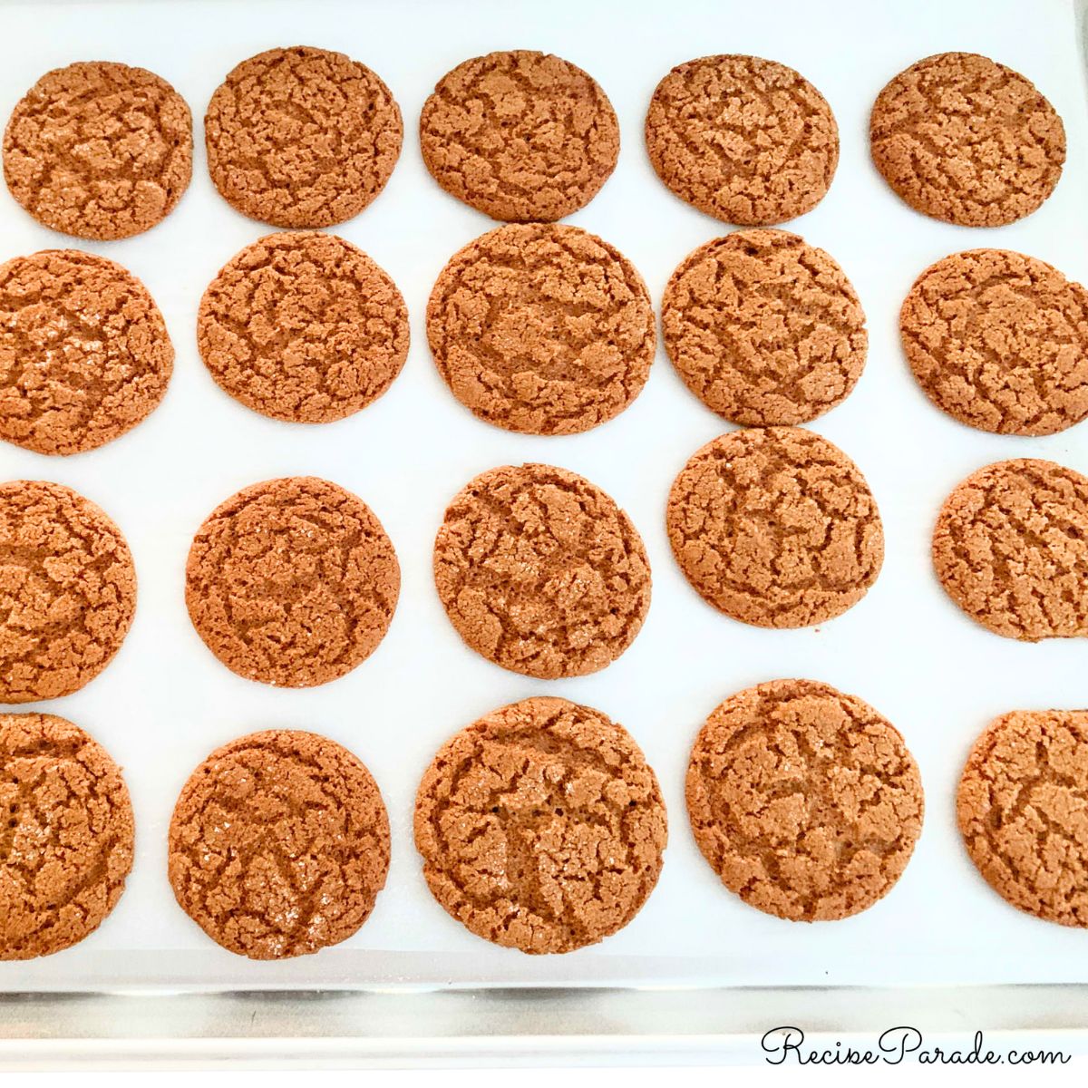 Ginger Snaps on parchment lined cookie sheet.