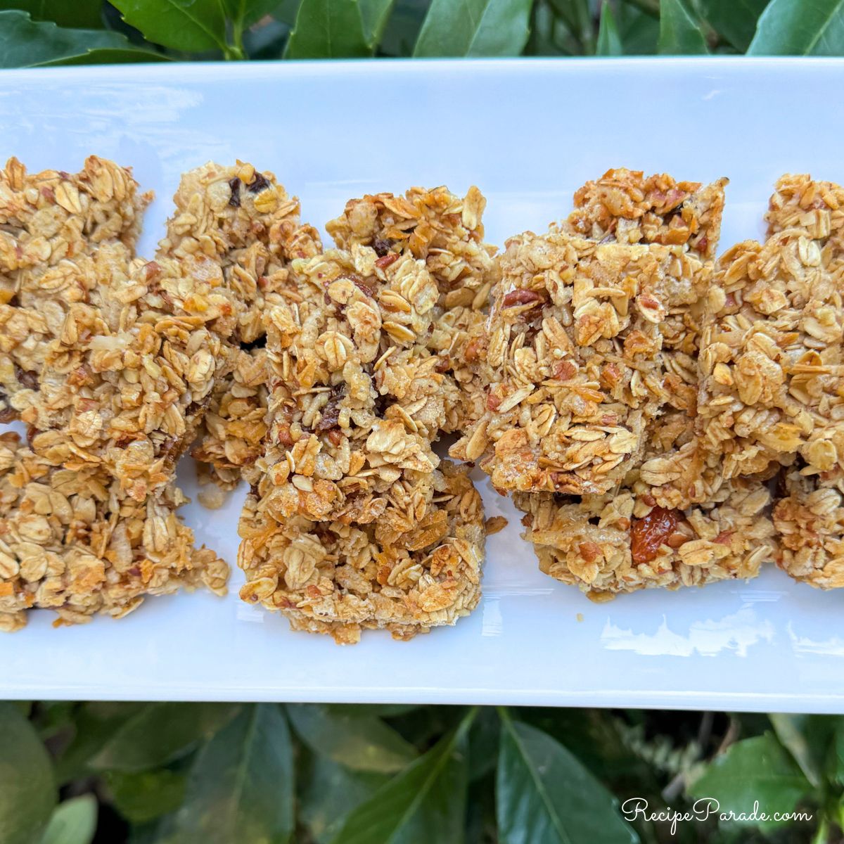 Homemade Granola Bars on a platter.