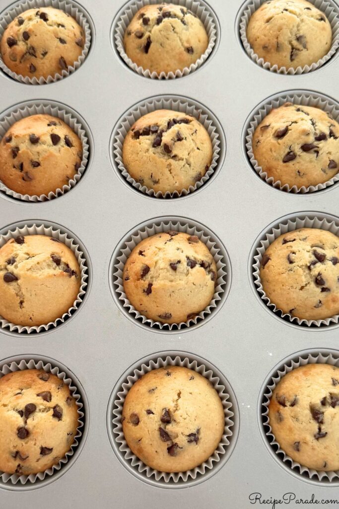 Chocolate Chip Muffins, in pan.