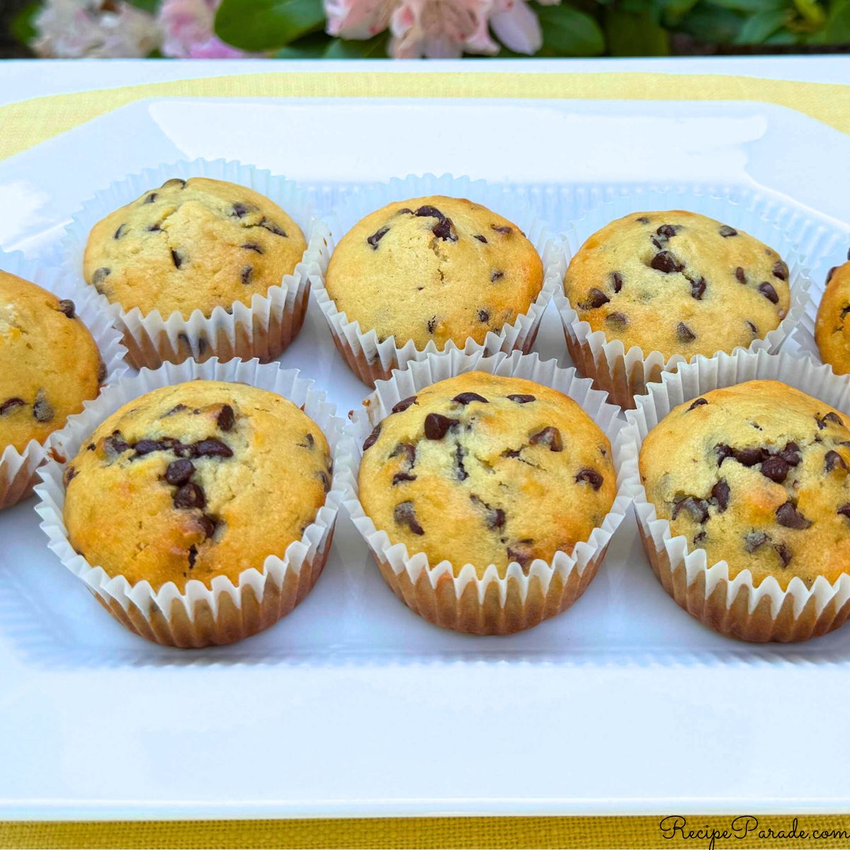 Moist chocolate chip cupcakes on a platter.