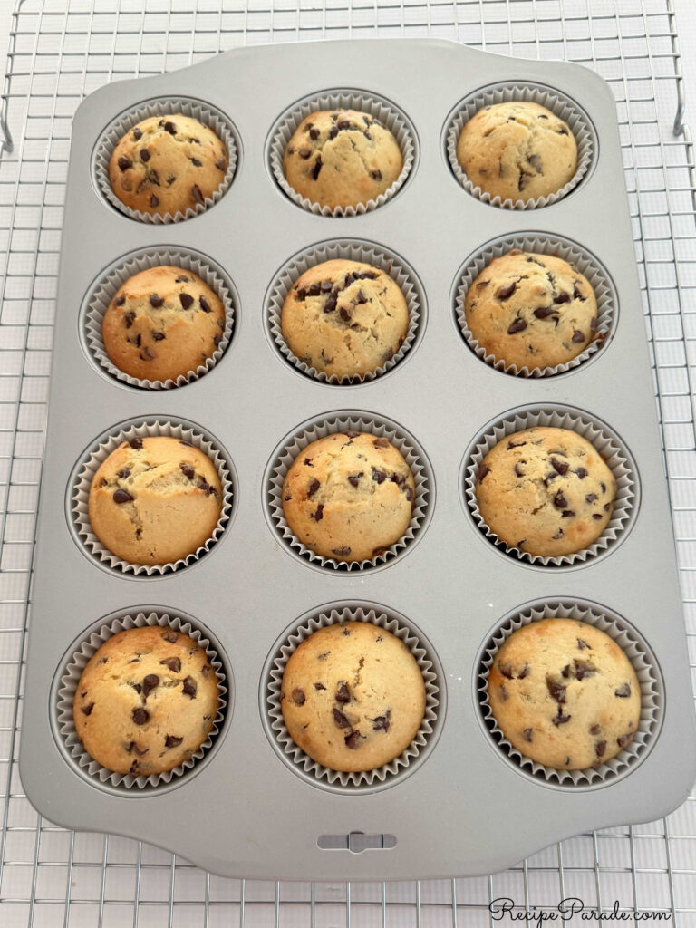 Chocolate Chip Muffins in pan on cooling rack.