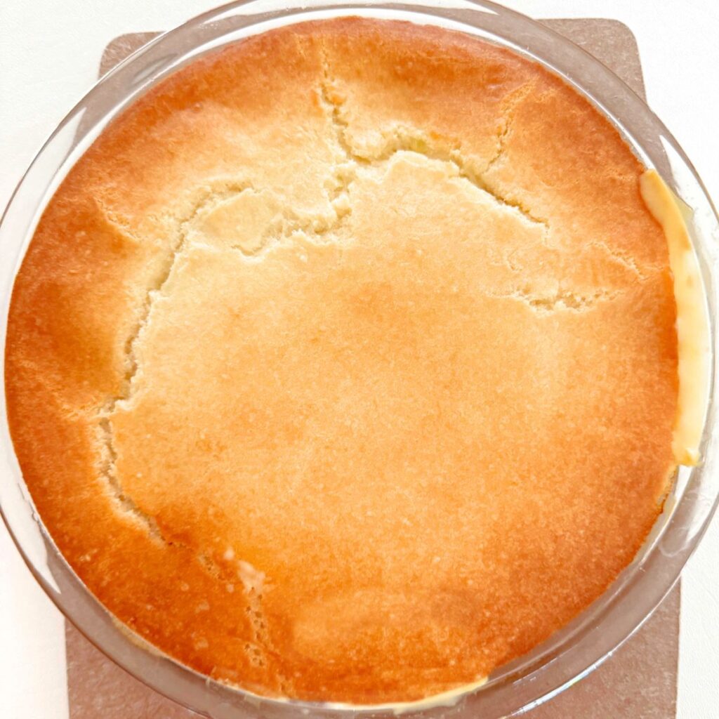 Easy Chicken Pie, freshly baked.