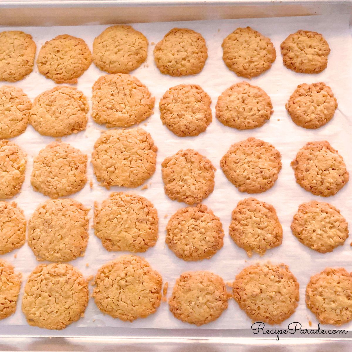 Cookie sheet of freshly baked cheese wafers.